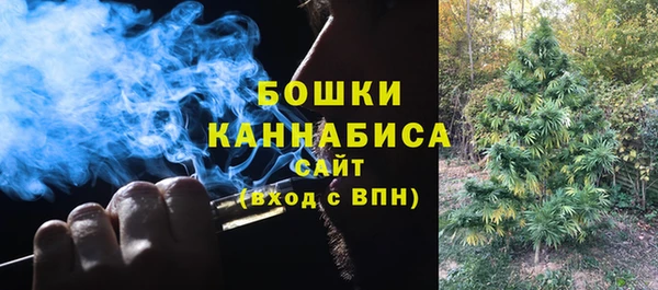 ECSTASY Гусь-Хрустальный